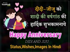 Happy Anniversary Didi And Jiju Shayari In Hindi